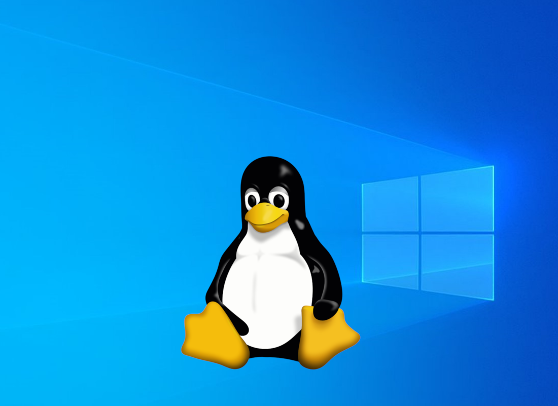 Tux Typing para Windows - Baixe gratuitamente na Uptodown